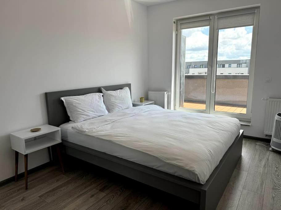 Seville Studio Cu Terasa & Vedere La Munte Brasov Ngoại thất bức ảnh